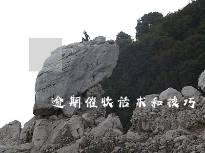 逾期催收话术和技巧 逾期催收话术和技巧