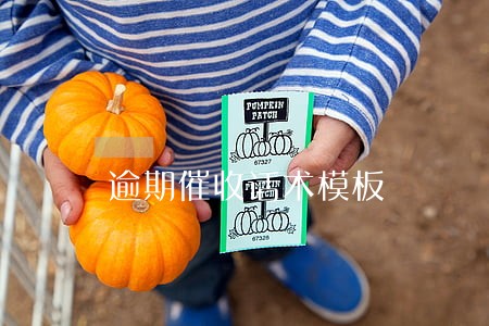 逾期催收话术模板 逾期催收话术模板