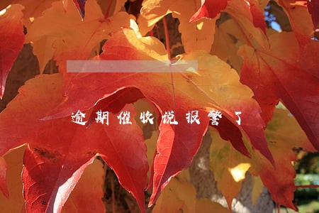 逾期催收说报警了 逾期催收说报警了
