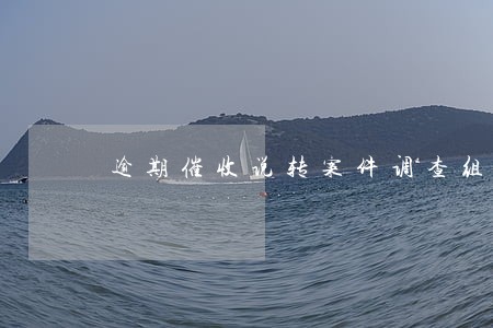 逾期催收说转案件调查组 逾期催收说转案件调查组