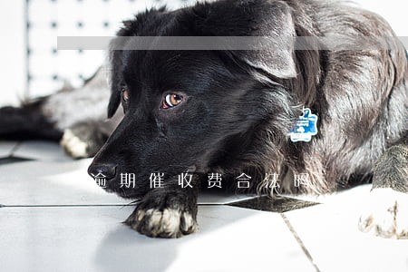逾期催收费合法吗 逾期催收费合法吗