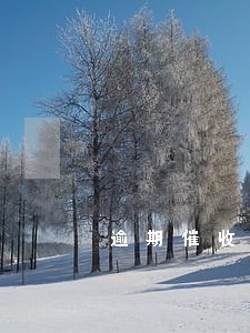 逾期催收费合理 逾期催收费合理