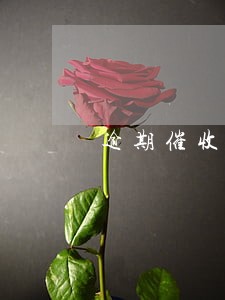 逾期催收费用谁出 逾期催收费用谁出