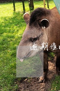 逾期催收转行什么 逾期催收转行什么
