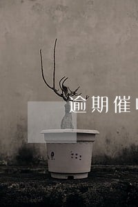 逾期催收进展交流 逾期催收进展交流