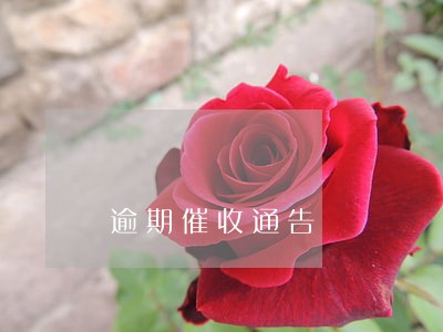 逾期催收通告 逾期催收通告