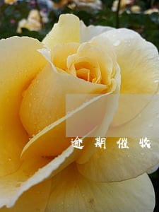 逾期催收通知书不签 逾期催收通知书不签