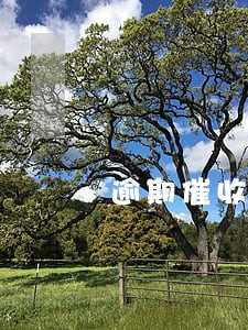 逾期催收通知书与担保期间 逾期催收通知书与担保期间