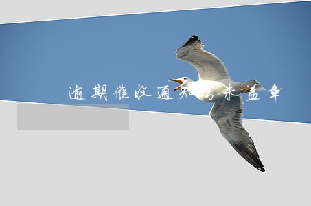 逾期催收通知书未盖章 逾期催收通知书未盖章