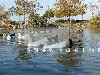 逾期催收通知书未约定签收人