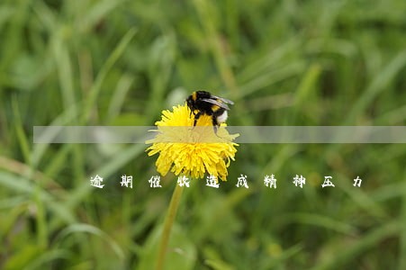 逾期催收造成精神压力 逾期催收造成精神压力