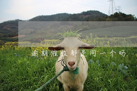 逾期催收都是同一个吗 逾期催收都是同一个吗