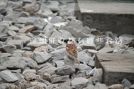 逾期催收都有哪些套路 逾期催收都有哪些套路