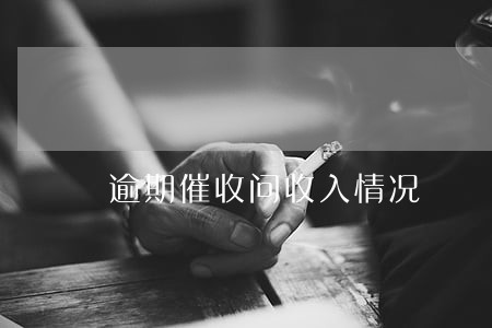 逾期催收问收入情况 逾期催收问收入情况
