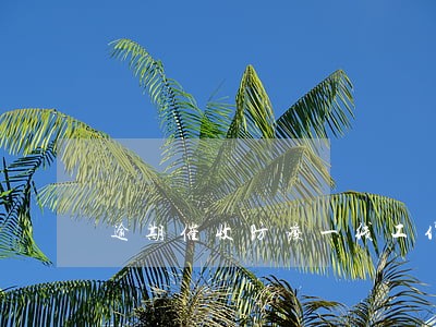 逾期催收防疫一线工作人员