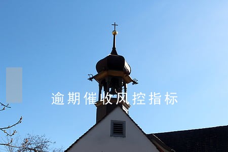 逾期催收风控指标 逾期催收风控指标