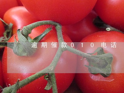 逾期催款010电话 逾期催款010电话