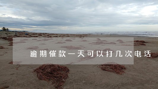 逾期催款一天可以打几次电话 逾期催款一天可以打几次电话
