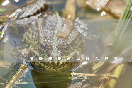 逾期催款会以什么形式 逾期催款会以什么形式