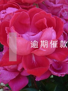 逾期催款凌晨压力大 逾期催款凌晨压力大