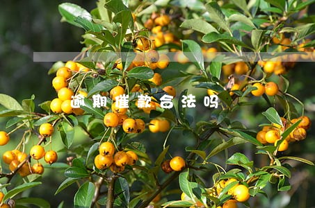 逾期催款合法吗 逾期催款合法吗