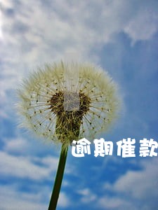 逾期催款工作好做吗 逾期催款工作好做吗