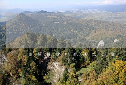 逾期催款打电话给公司 逾期催款打电话给公司