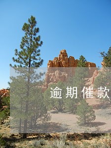 逾期催款电话打了两天不打了