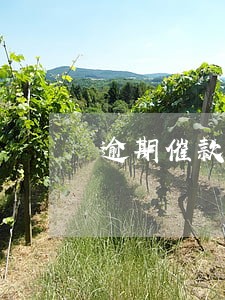 逾期催款电话未接电话图片 逾期催款电话未接电话图片