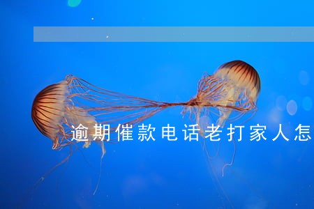 逾期催款电话老打家人怎么办 逾期催款电话老打家人怎么办