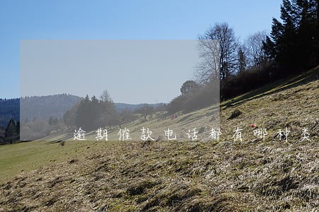 逾期催款电话都有哪种类型 逾期催款电话都有哪种类型