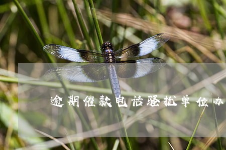逾期催款电话骚扰单位办公室