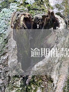 逾期催款的话有用吗
