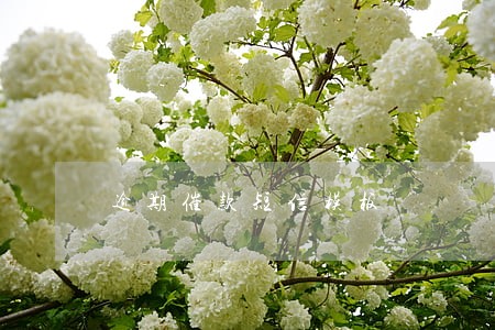 逾期催款短信模板 逾期催款短信模板
