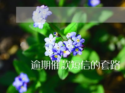 逾期催款短信的套路 逾期催款短信的套路