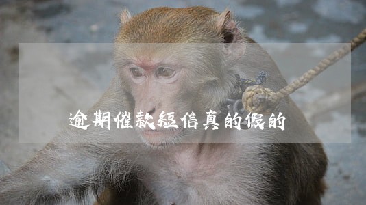 逾期催款短信真的假的 逾期催款短信真的假的
