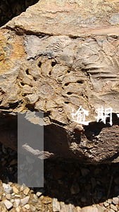 逾期催款说一毛钱都换不了