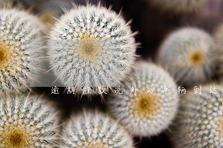 逾期催款说外访车辆到达本市