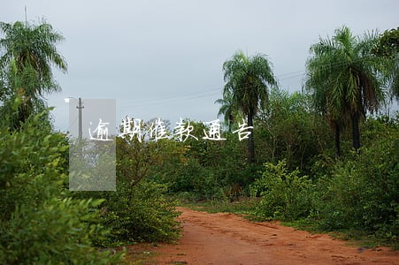 逾期催款通告