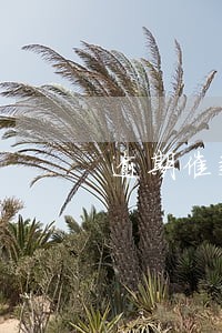 逾期催款通知书多久下一下 逾期催款通知书多久下一下