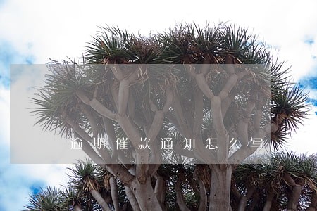 逾期催款通知怎么写