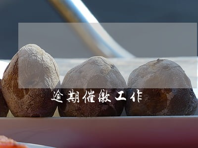 逾期催缴工作 逾期催缴工作