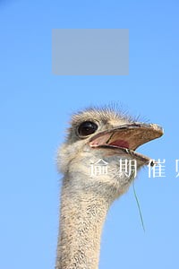 逾期催账短信 逾期催账短信