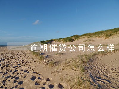 逾期催贷公司怎么样 逾期催贷公司怎么样
