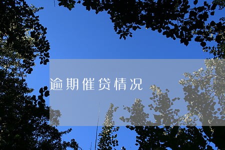 逾期催贷情况 逾期催贷情况