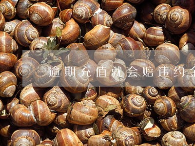 逾期充值就会赔违约金怎么办 逾期充值就会赔违约金怎么办