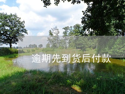 逾期先到货后付款 逾期先到货后付款
