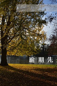 逾期先处理信用卡还小额贷款 逾期先处理信用卡还小额贷款