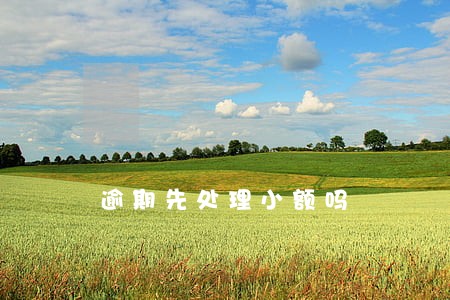 逾期先处理小额吗 逾期先处理小额吗