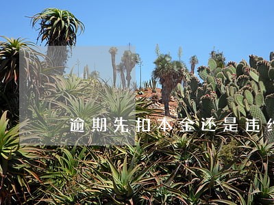 逾期先扣本金还是违约金 逾期先扣本金还是违约金